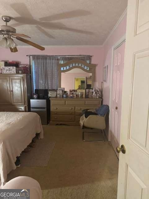 7157 Williamsburg Drive Riverdale - 13