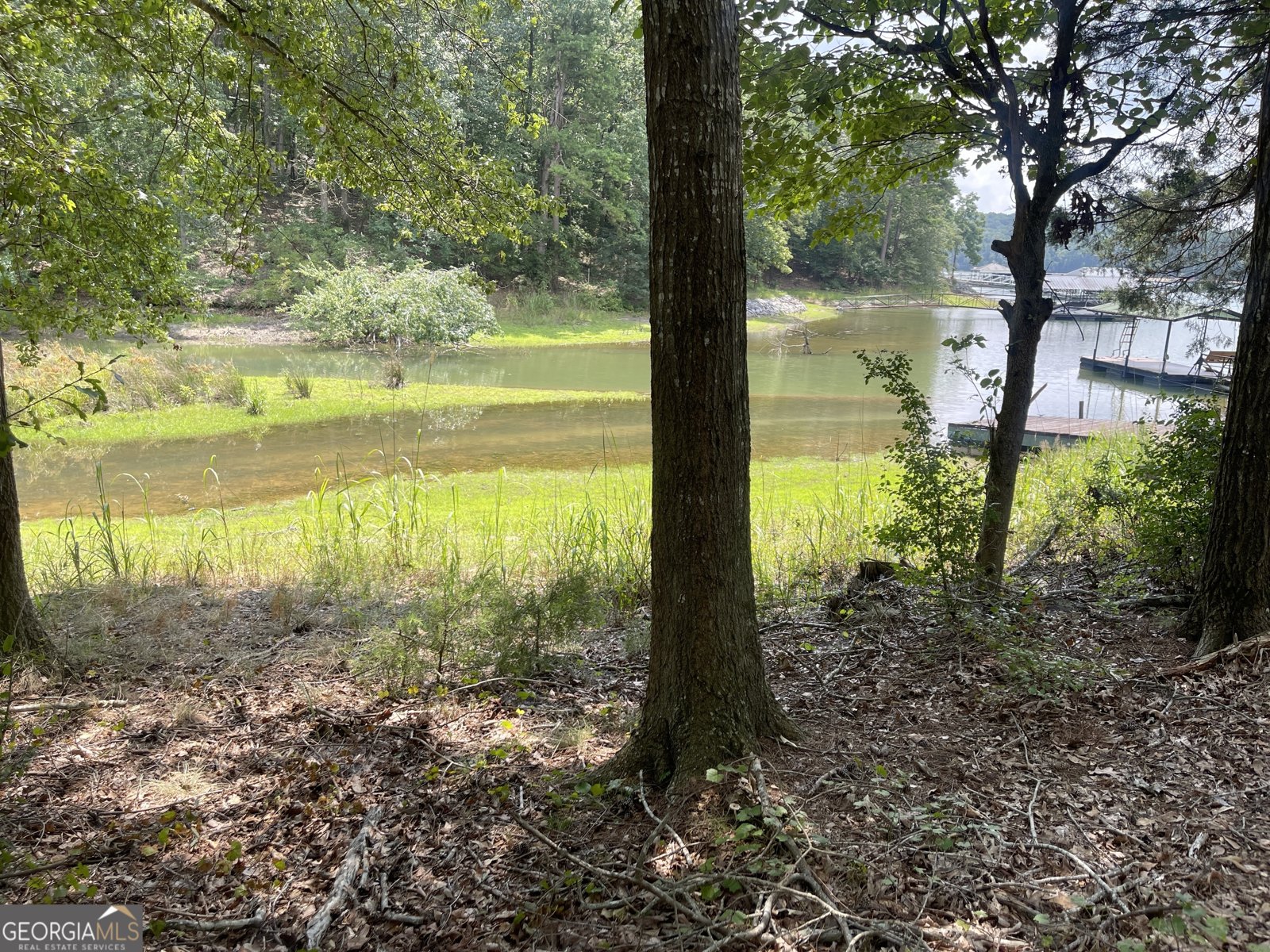 432 Hyde Cove Drive Fair Play - 3