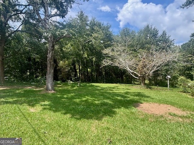 93 Green Acres Road Griffin - 10