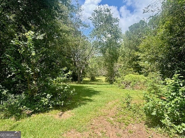 93 Green Acres Road Griffin - 13