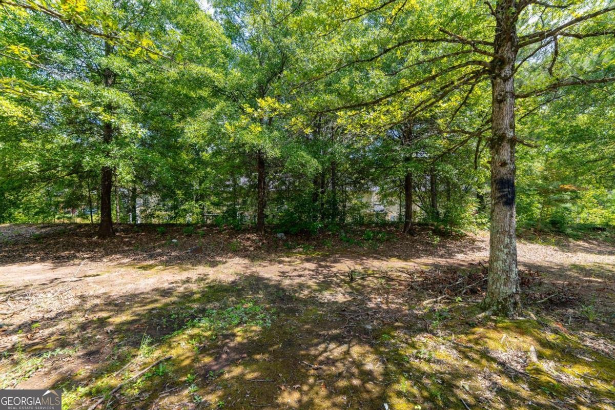 3017 Waldrop Circle Decatur - 4