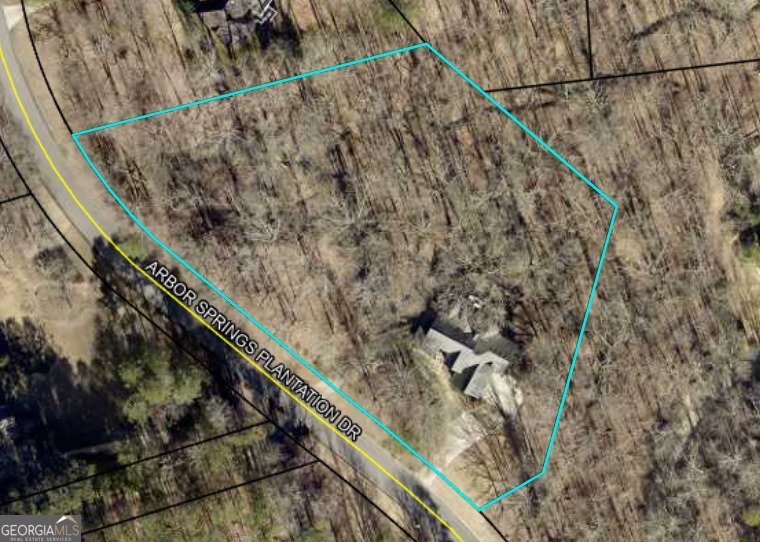 89 Arbor Springs Plantation Drive Newnan - 84