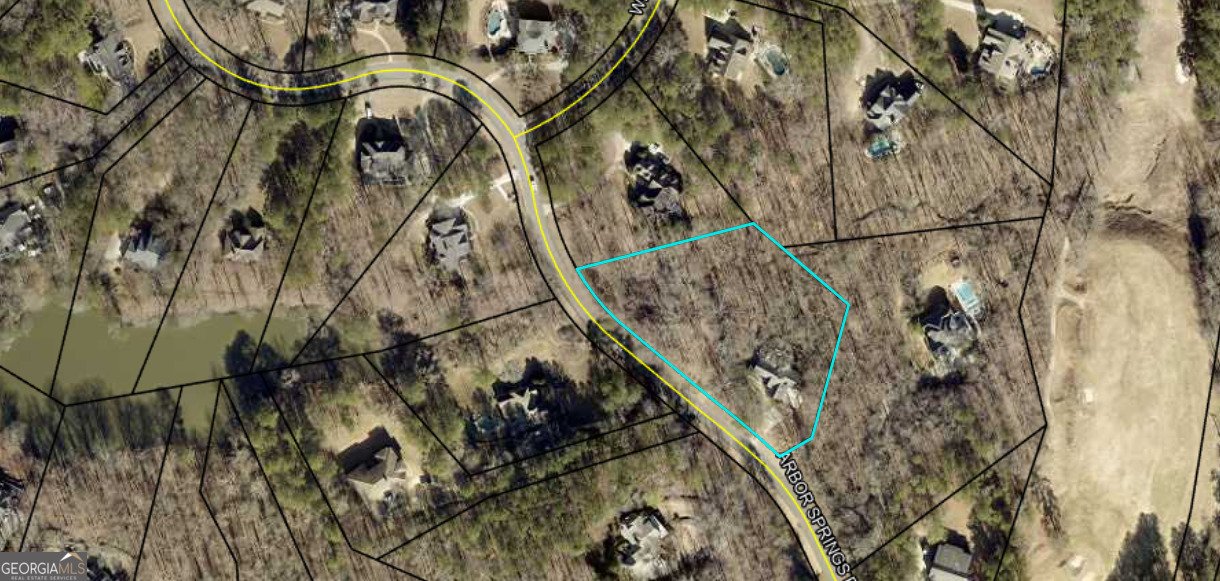 89 Arbor Springs Plantation Drive Newnan - 85