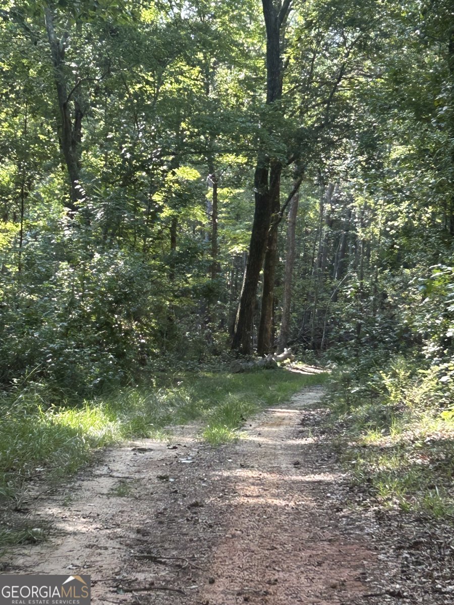 1987 Crook Road Lincolnton - 25
