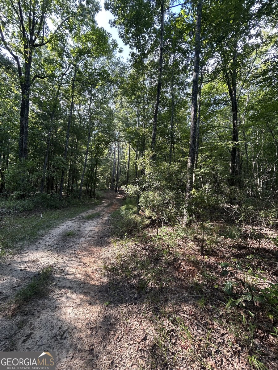 1987 Crook Road Lincolnton - 37