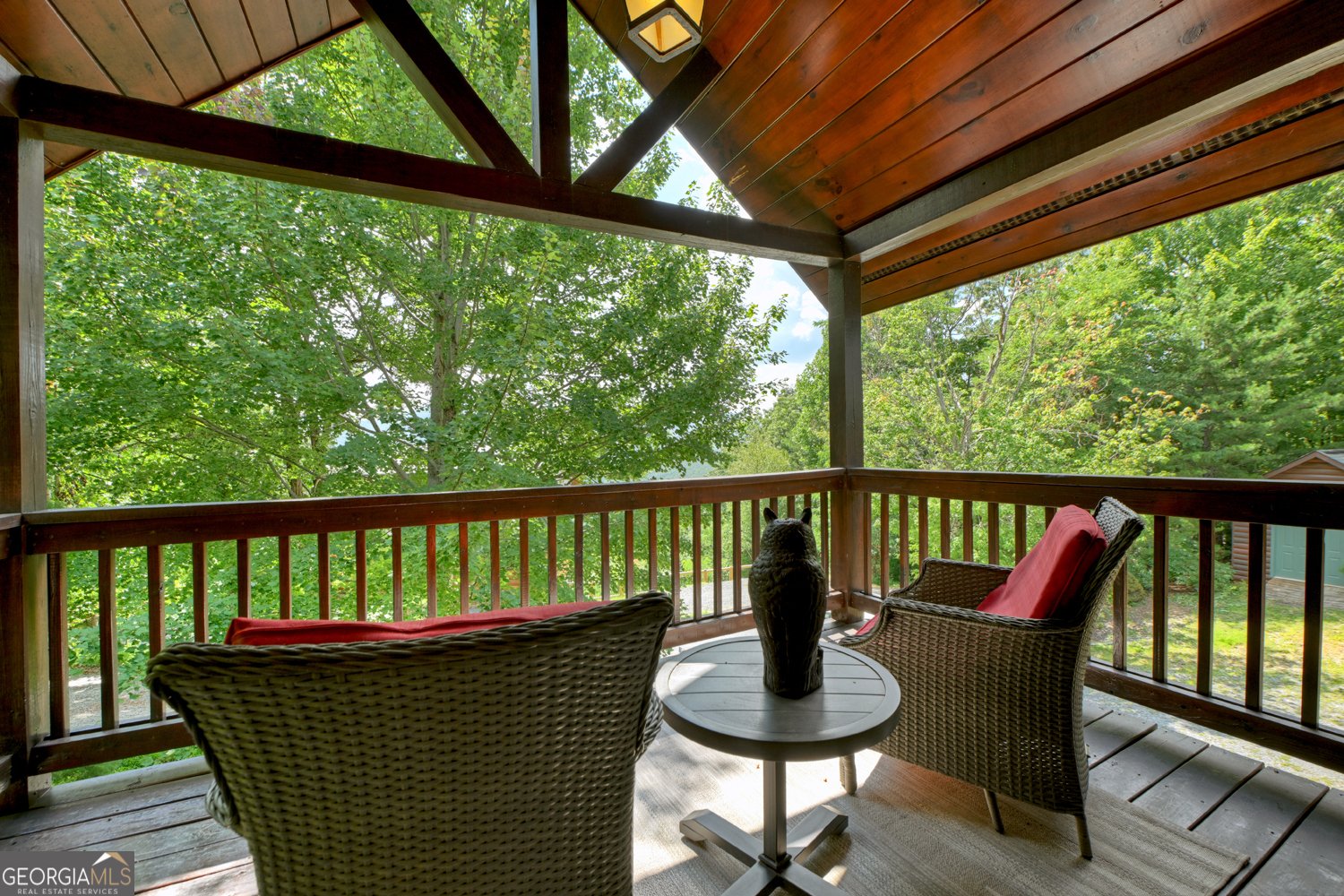 793 Brittney Drive Blue Ridge - 30