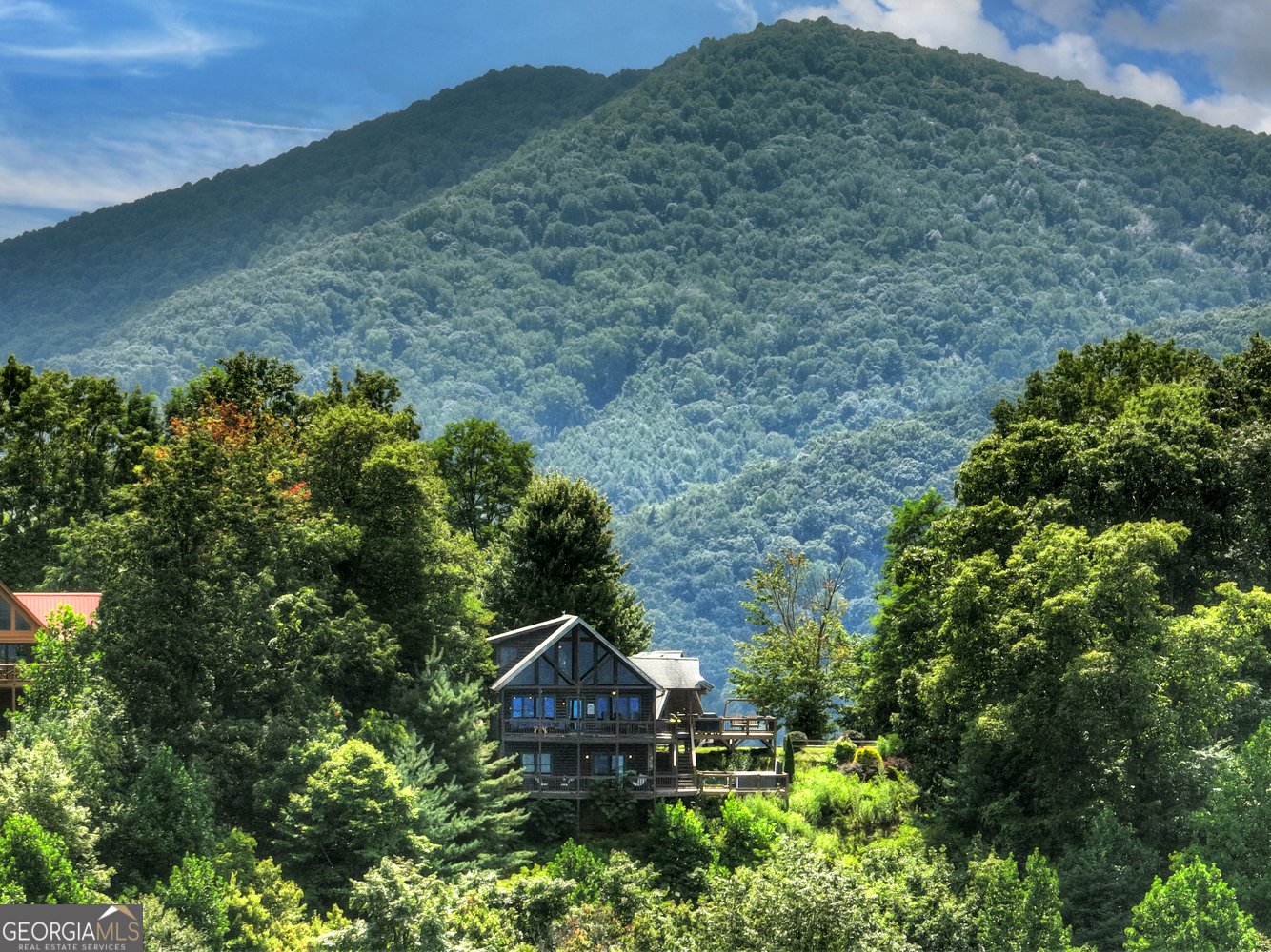 793 Brittney Drive Blue Ridge - 49