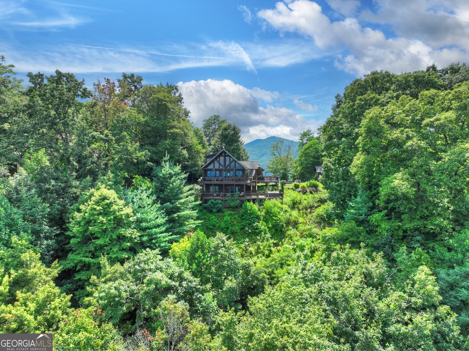793 Brittney Drive Blue Ridge - 52