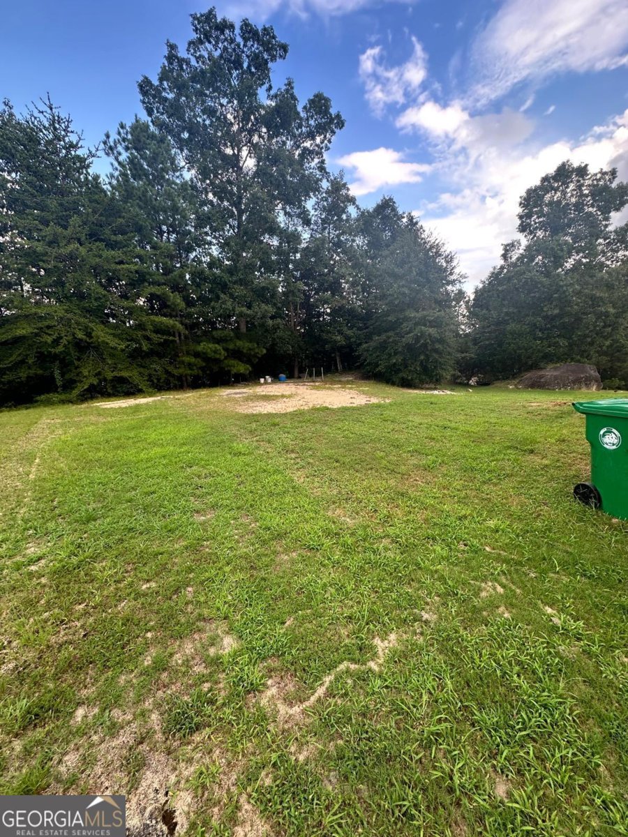 1118 OLD GREYSTONE Drive Lithonia - 5