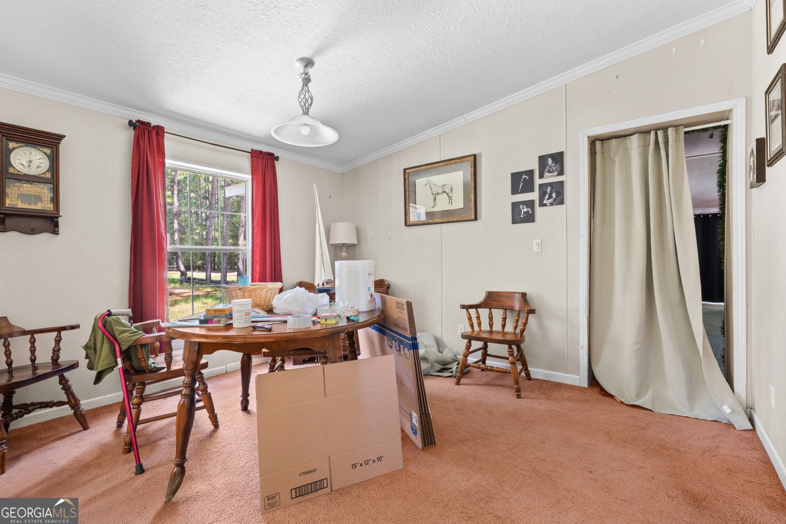 4130 Old Pence Farm Road Metter - 10