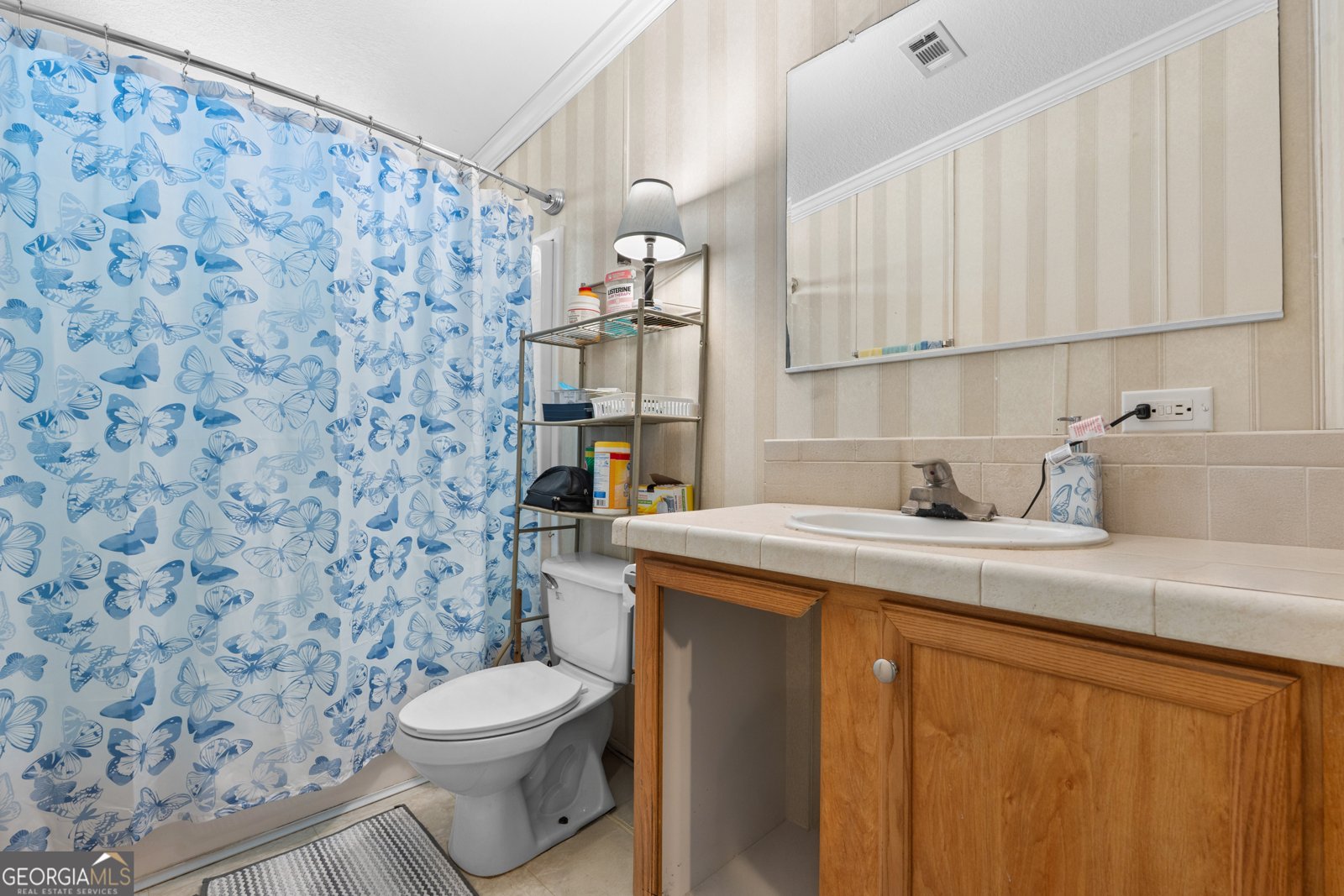 4130 Old Pence Farm Road Metter - 18