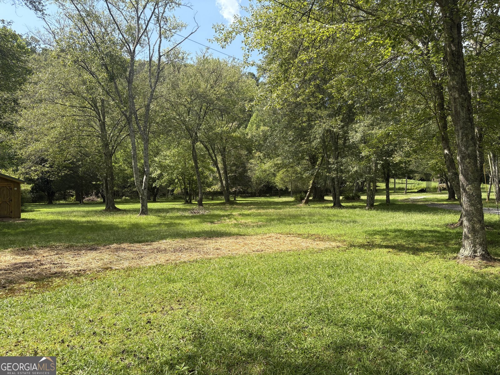 141 Friendship Lane Mineral Bluff - 10