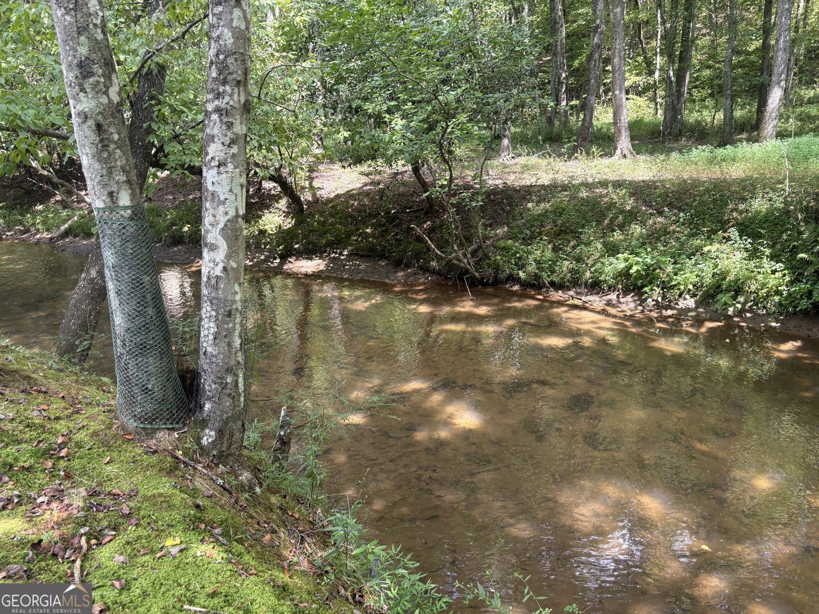 141 Friendship Lane Mineral Bluff - 11