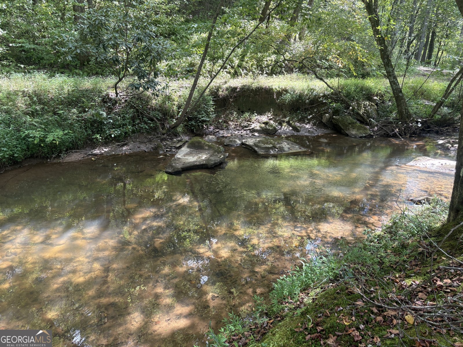 141 Friendship Lane Mineral Bluff - 12