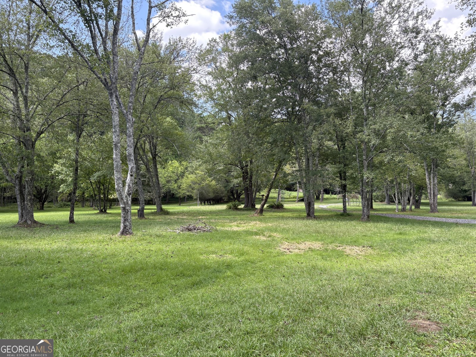 141 Friendship Lane Mineral Bluff - 13