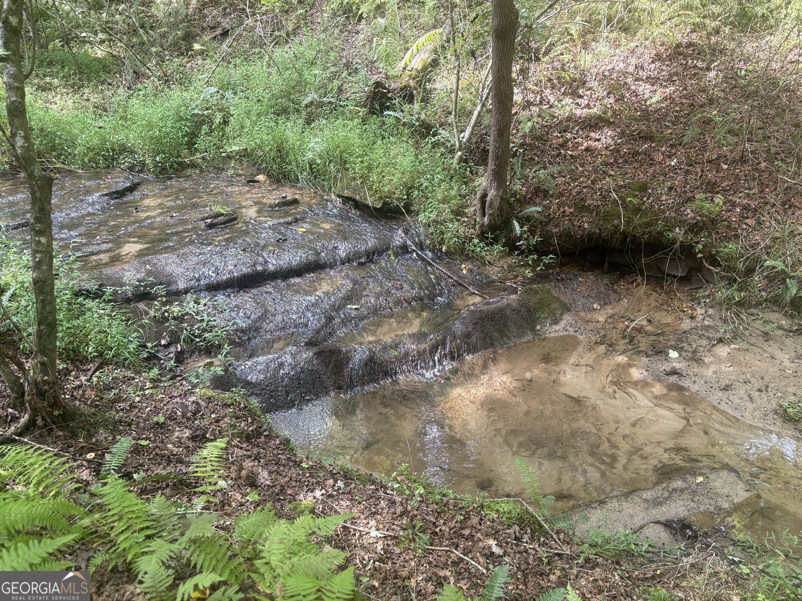 141 Friendship Lane Mineral Bluff - 2