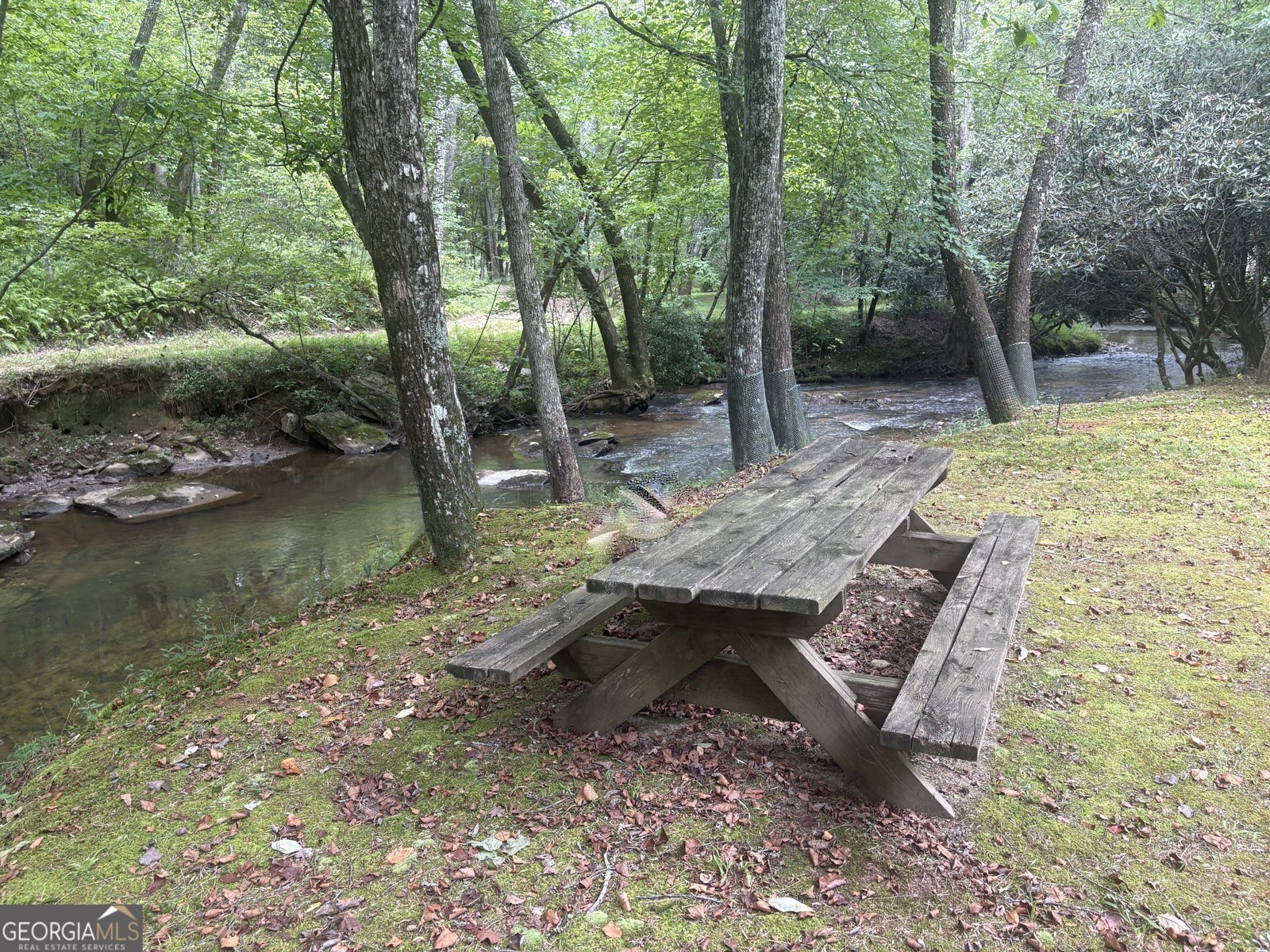 141 Friendship Lane Mineral Bluff - 3