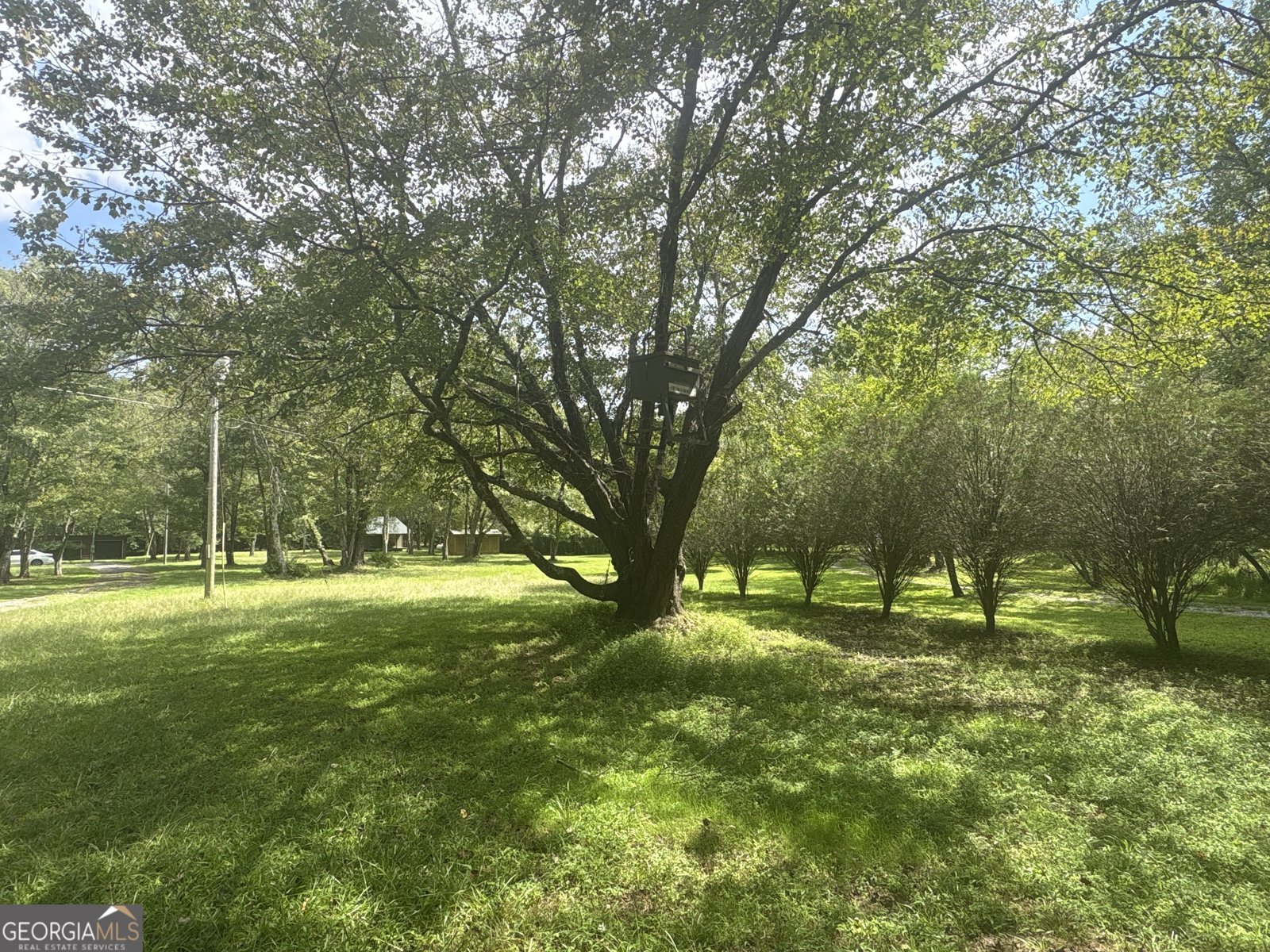 141 Friendship Lane Mineral Bluff - 8