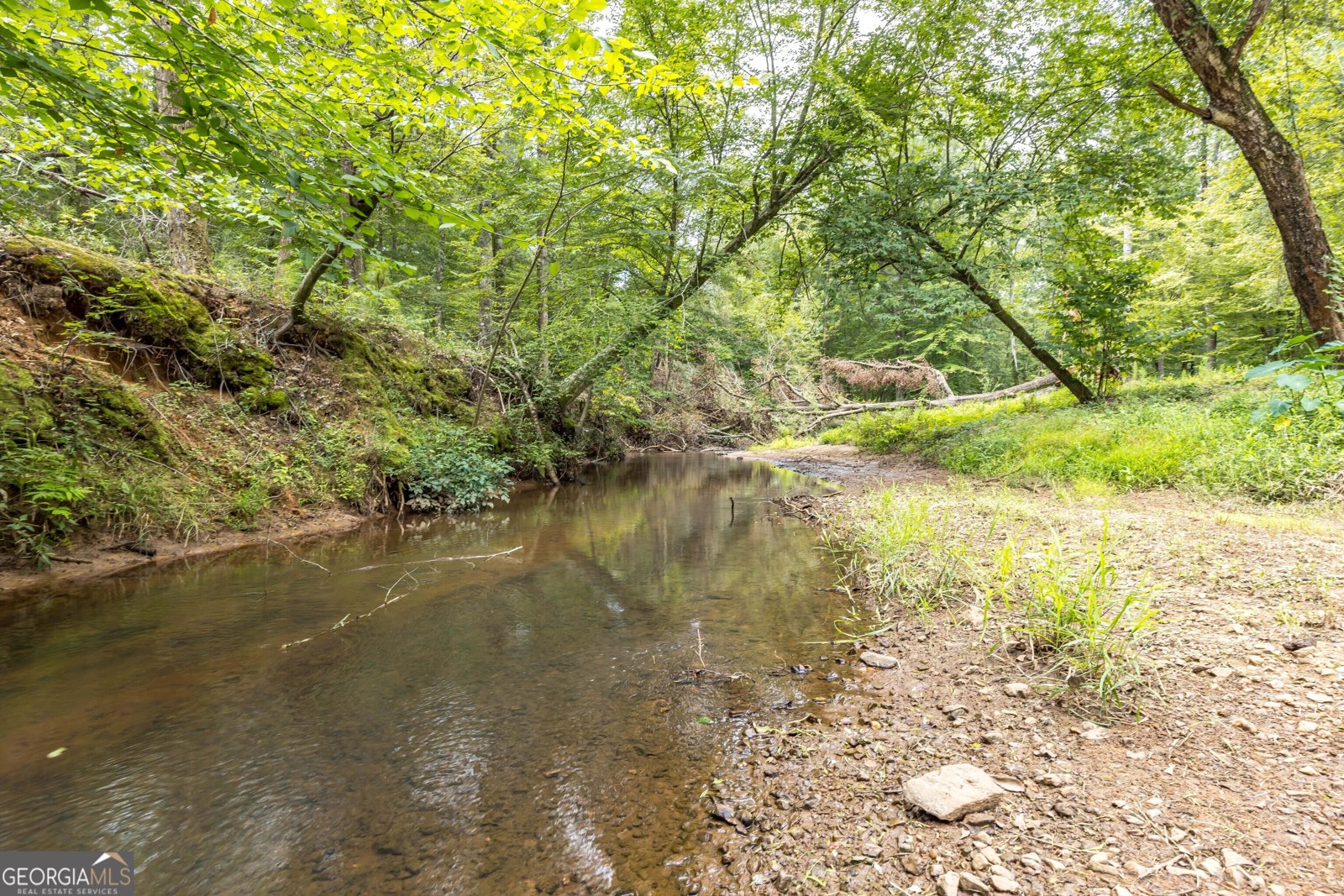 490 Barnes Mill Road Hamilton - 12