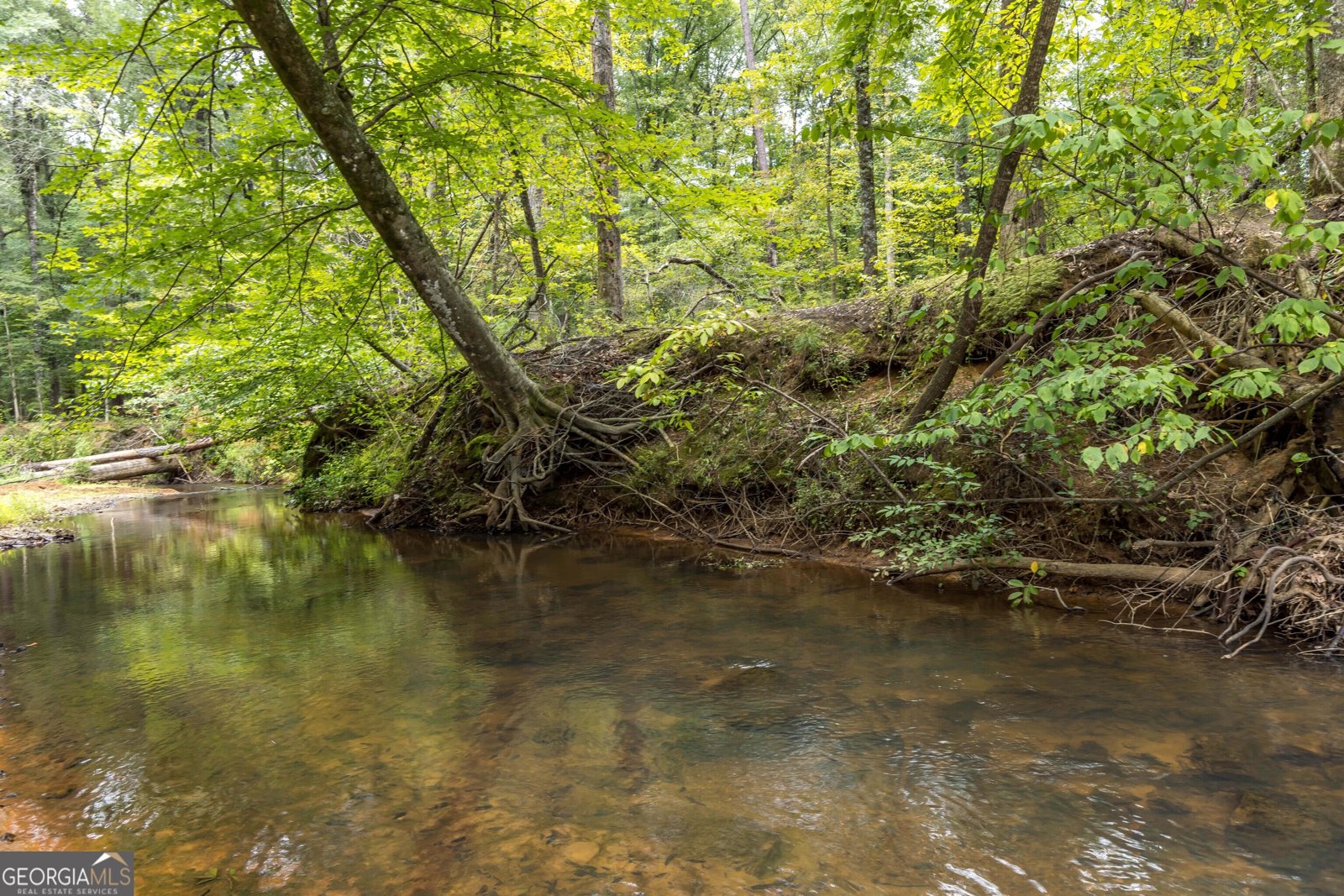 490 Barnes Mill Road Hamilton - 14