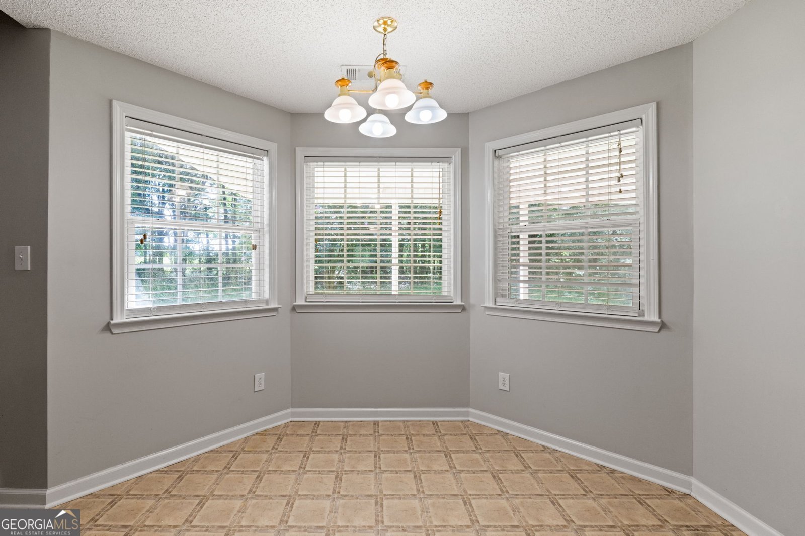 527 Barhams Ridge Drive McDonough - 12