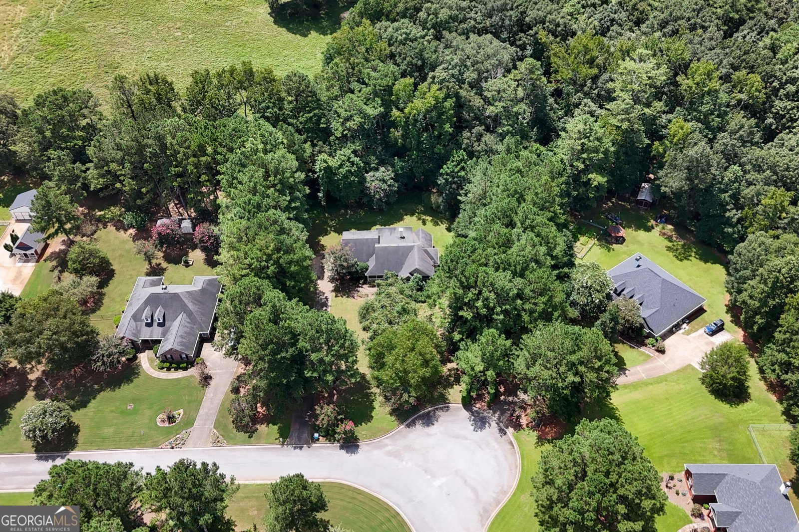 527 Barhams Ridge Drive McDonough - 38