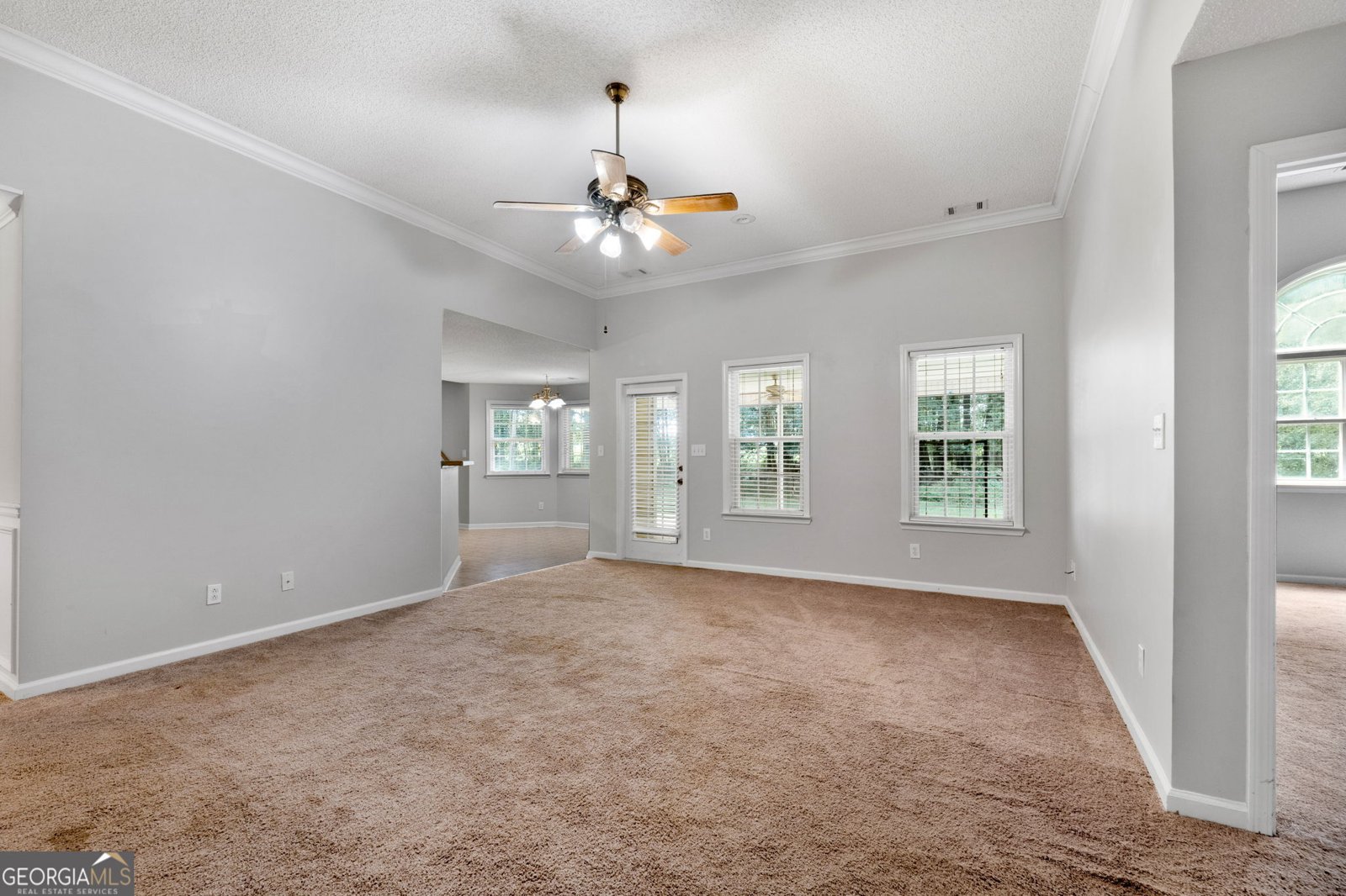 527 Barhams Ridge Drive McDonough - 8
