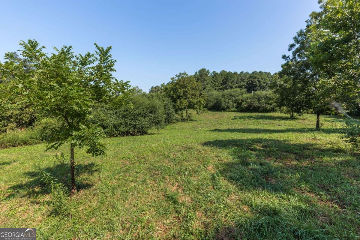 933 Alto Mud Creek Road Alto - 22