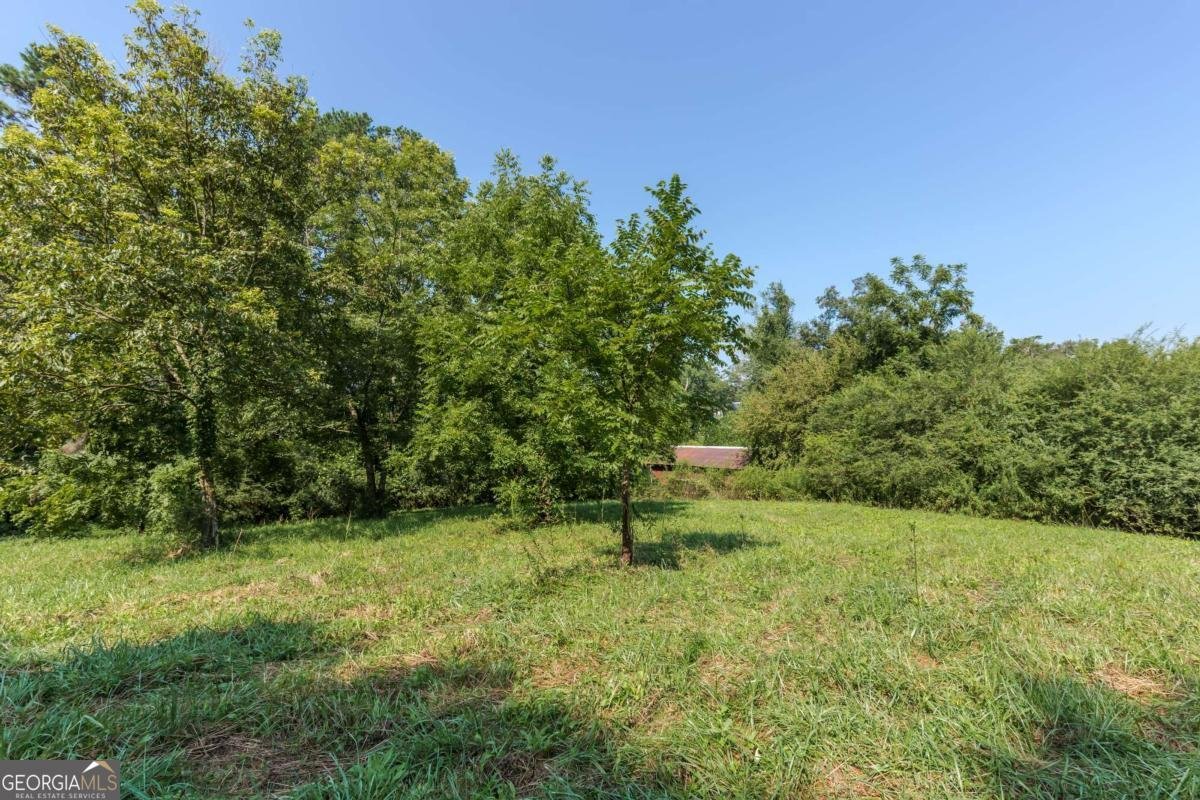 933 Alto Mud Creek Road Alto - 56