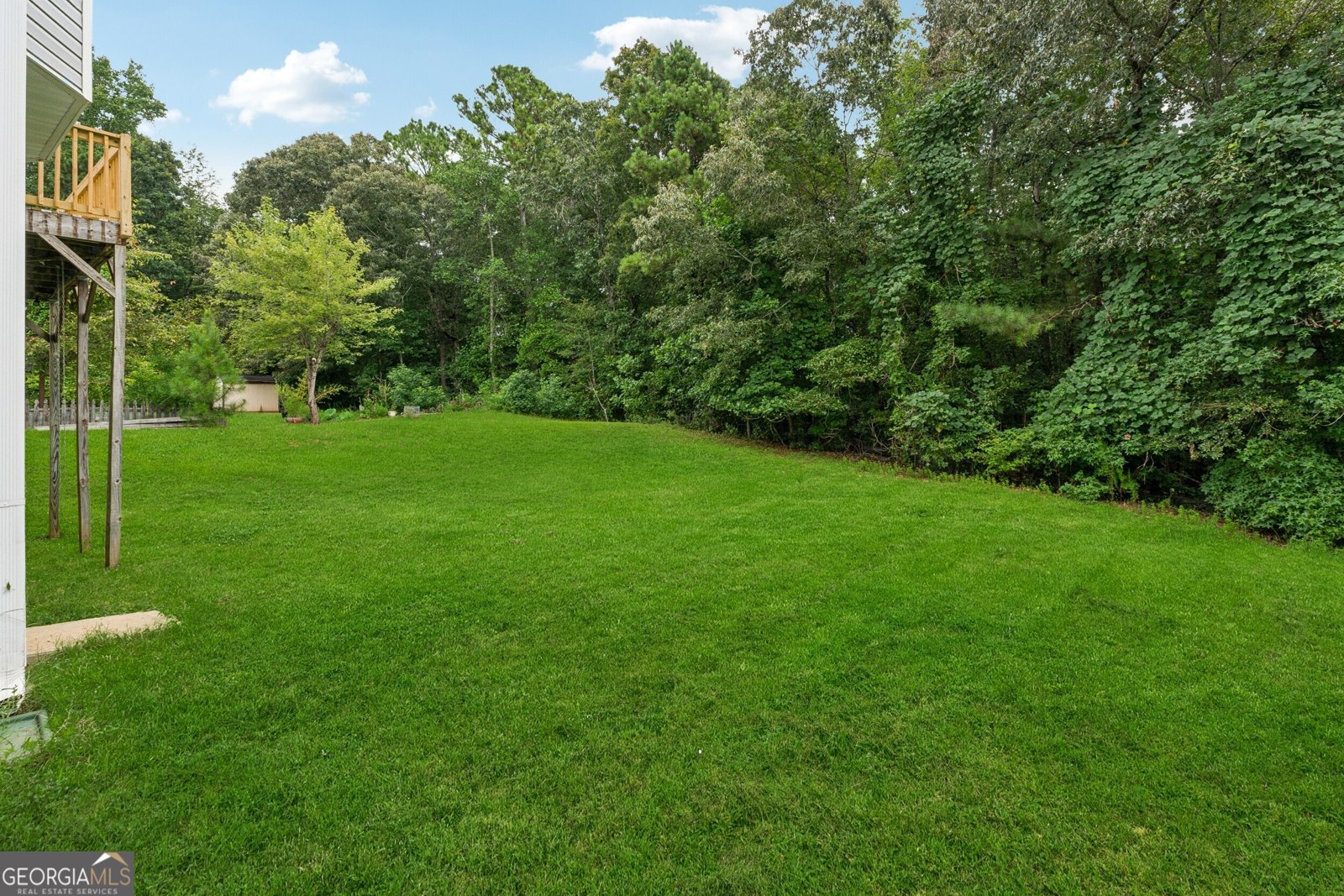 4542 WHITE Road Douglasville - 38