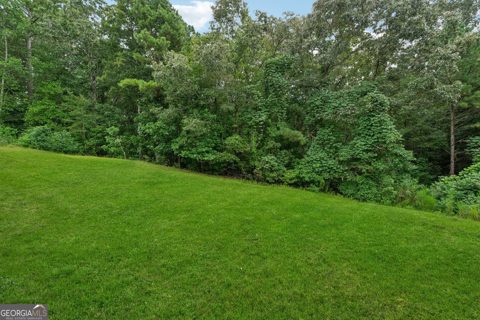 4542 WHITE Road Douglasville - 39