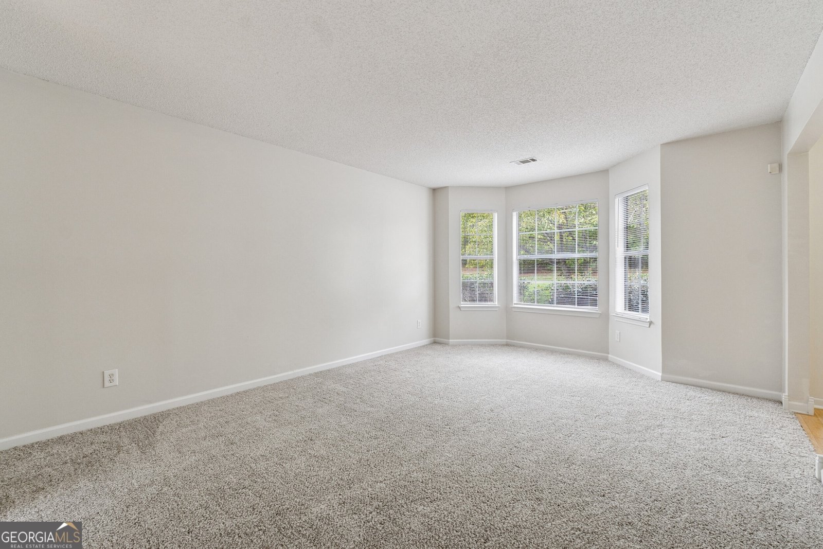 4542 WHITE Road Douglasville - 8