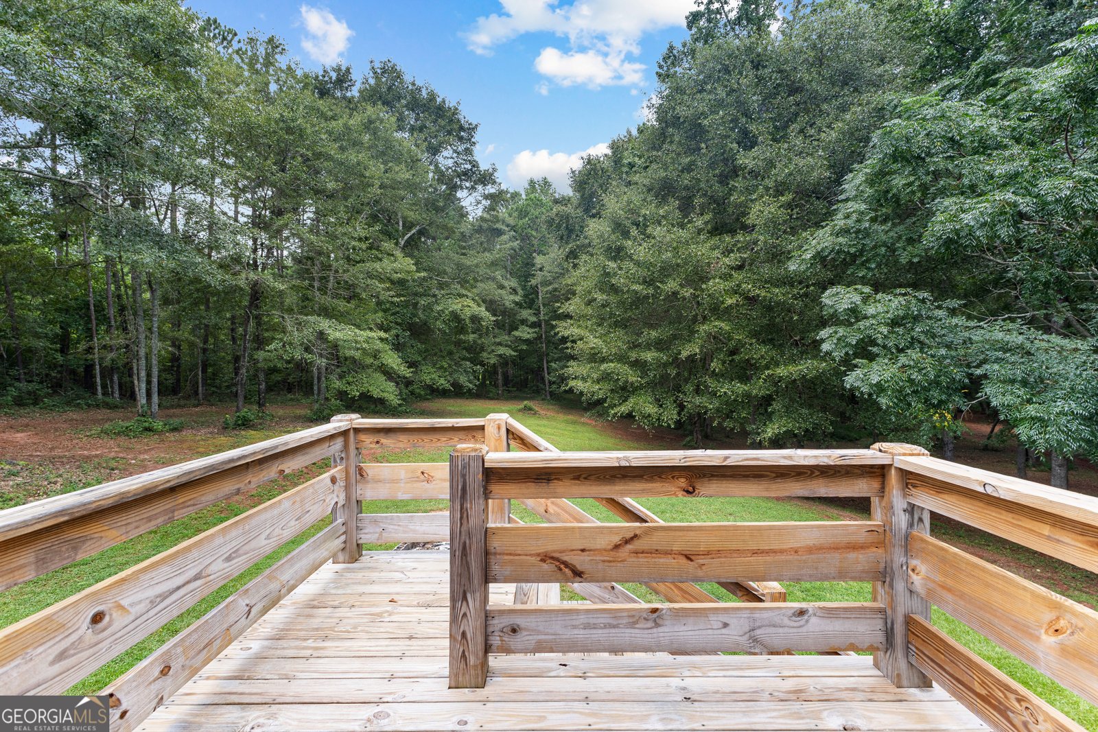 235 Rocky Branch Road Barnesville - 12