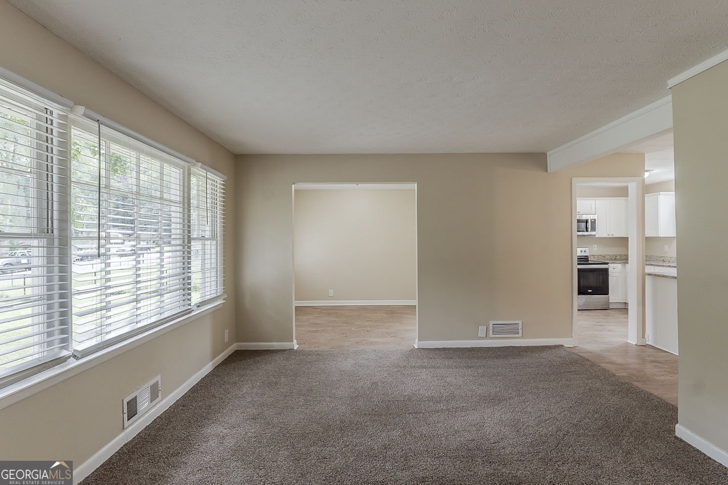 1202 Palisades Lane Ellenwood - 9