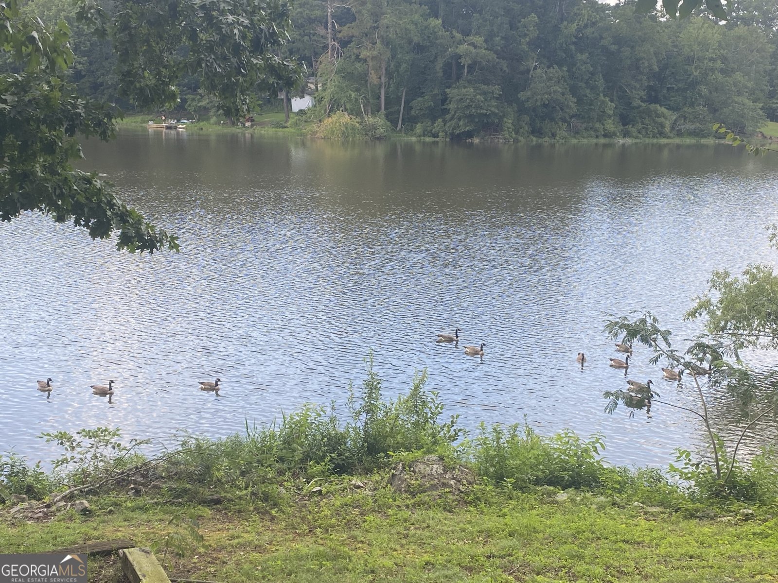 196 Horseshoe Bend Road Jackson - 38