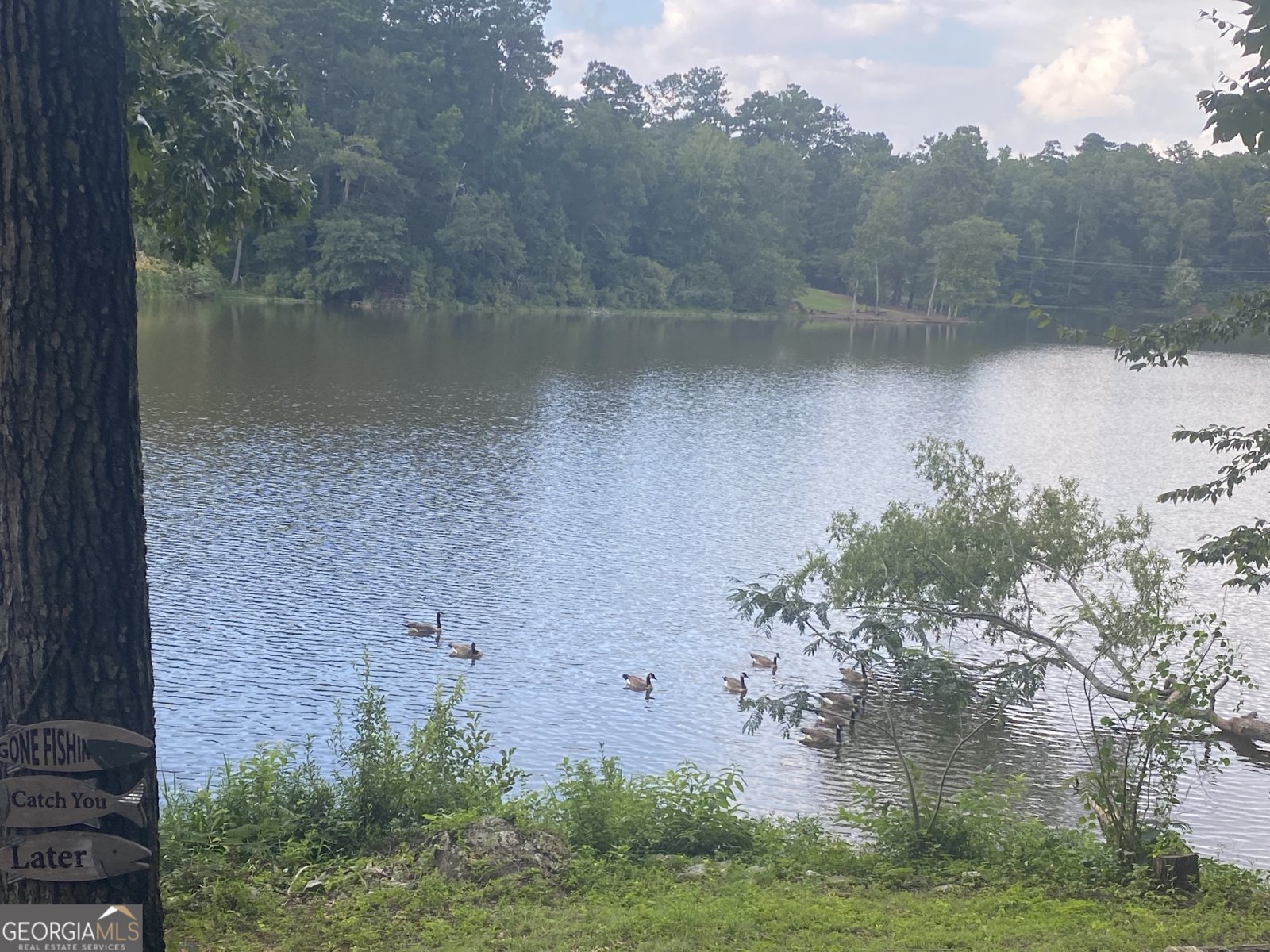 196 Horseshoe Bend Road Jackson - 39
