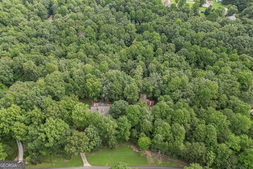 4724 Gateway Lane Flowery Branch - 2