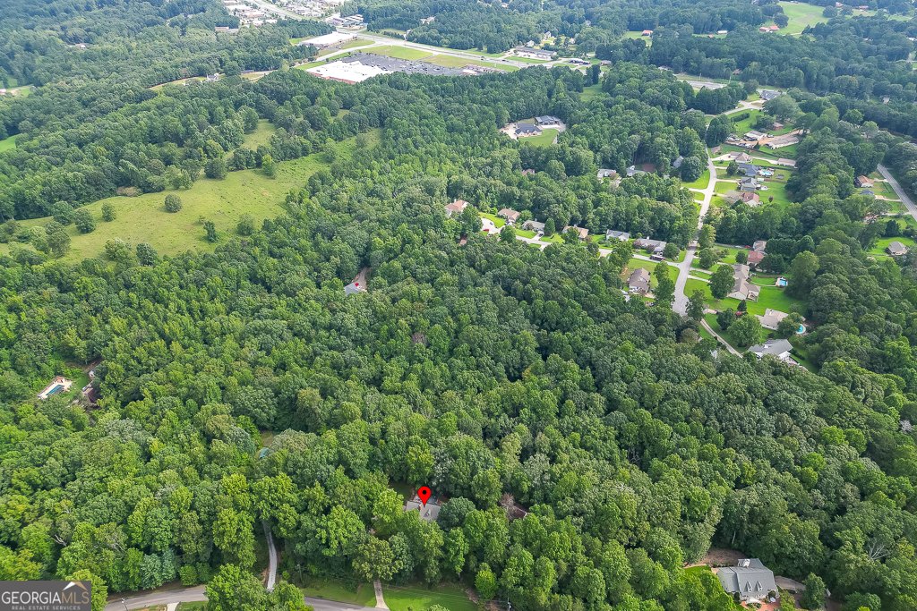 4724 Gateway Lane Flowery Branch - 48