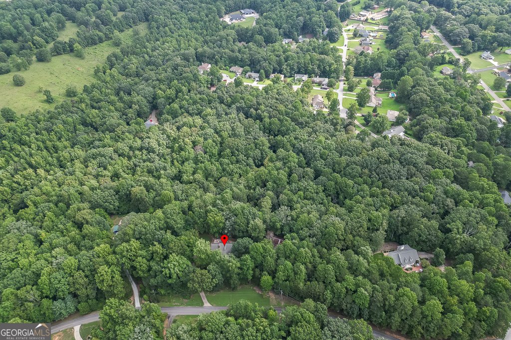 4724 Gateway Lane Flowery Branch - 49