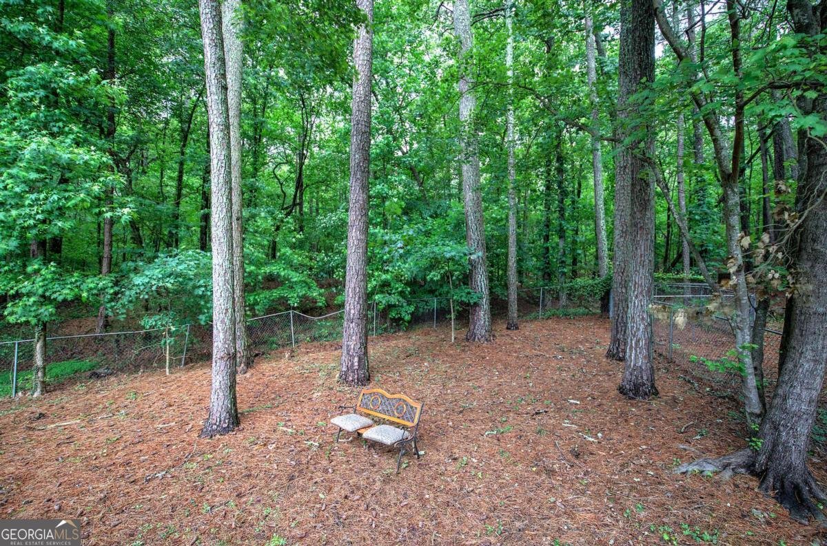 23 Timberlake Pointe Cove Cartersville - 40
