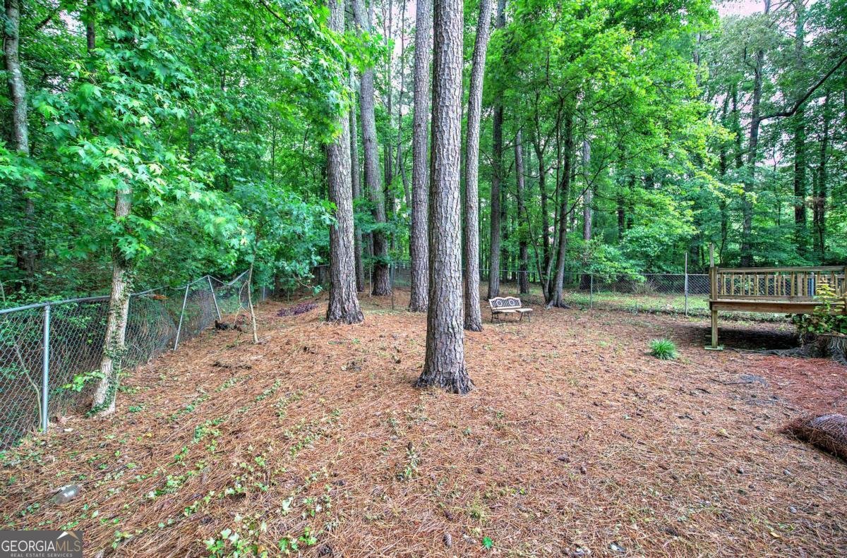 23 Timberlake Pointe Cove Cartersville - 43