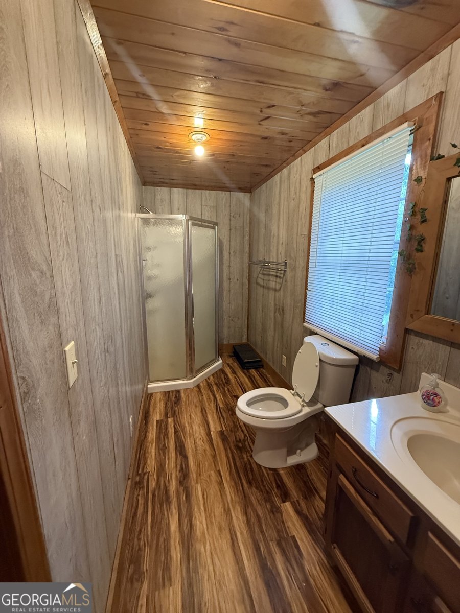 2018 Mineral Bluff Highway Mineral Bluff - 10