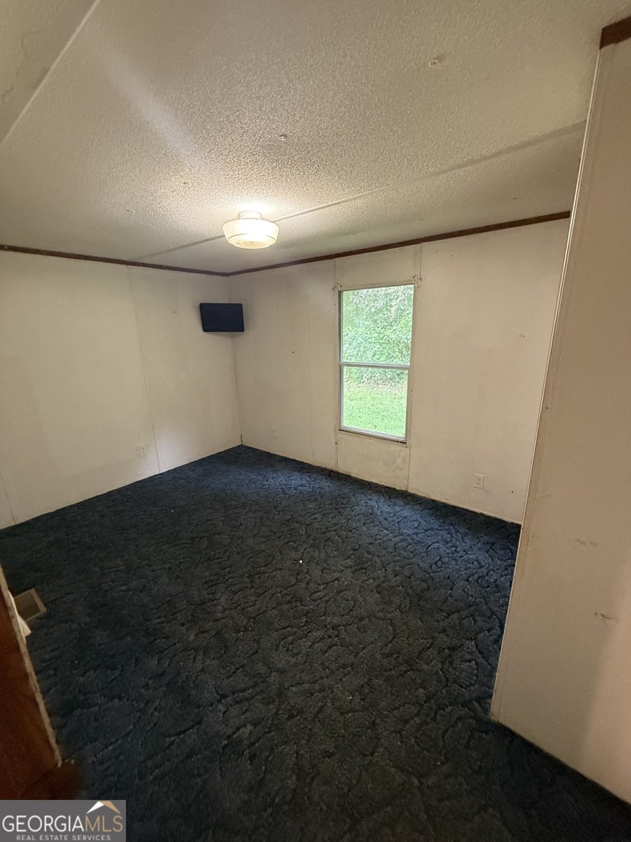 2018 Mineral Bluff Highway Mineral Bluff - 12