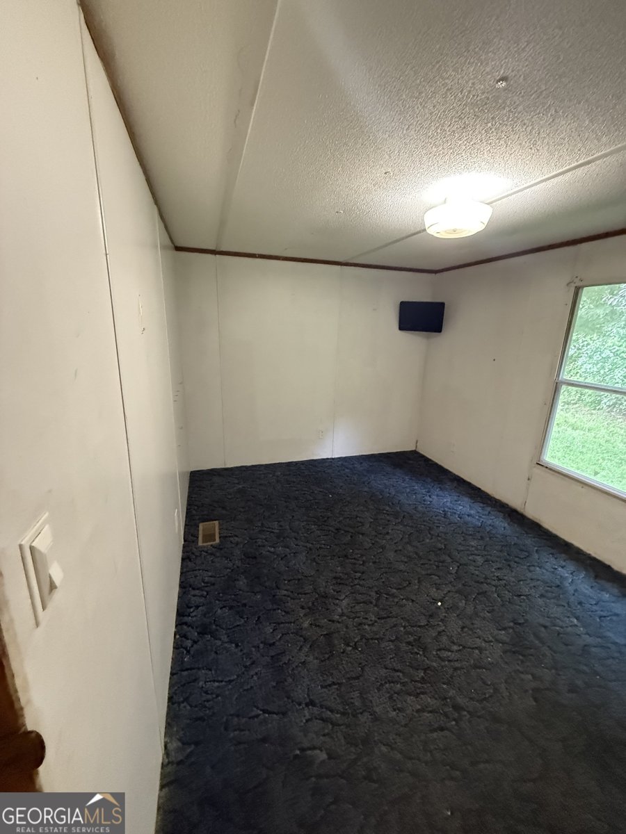 2018 Mineral Bluff Highway Mineral Bluff - 13