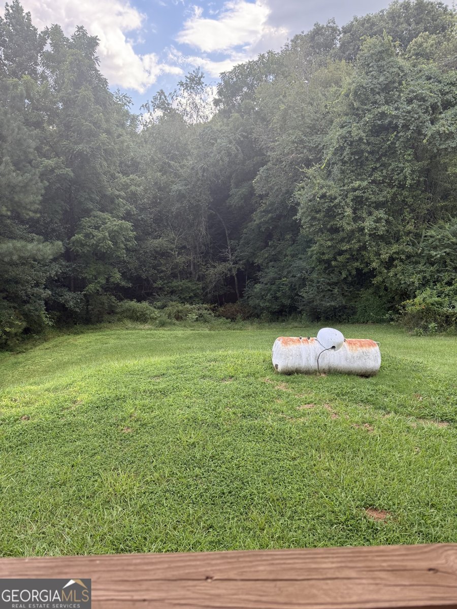 2018 Mineral Bluff Highway Mineral Bluff - 15