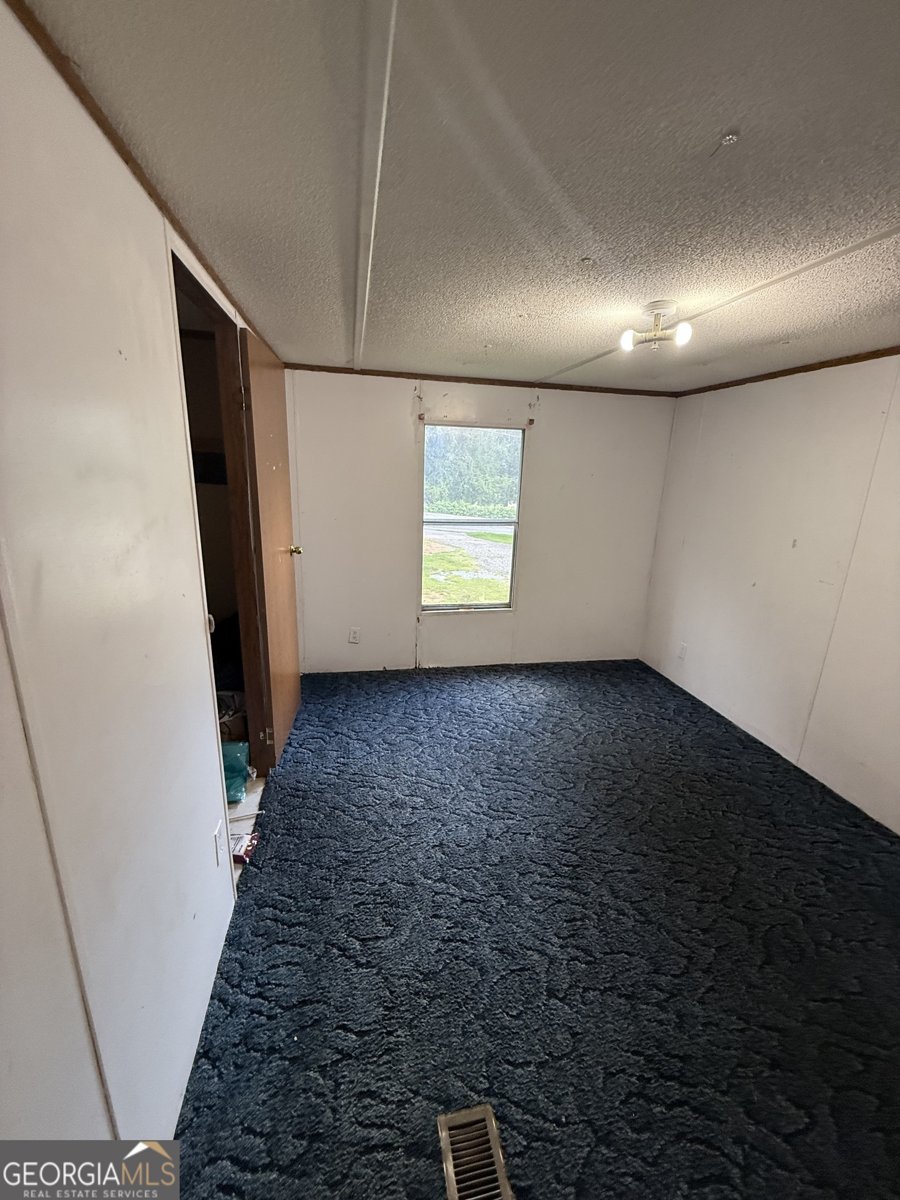 2018 Mineral Bluff Highway Mineral Bluff - 7