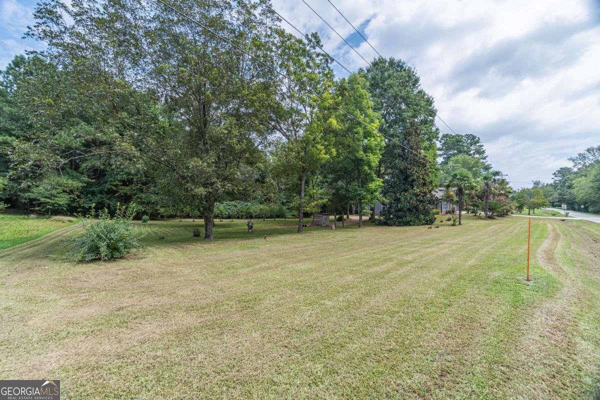 4331 Ellison Farm Road Braselton - 10