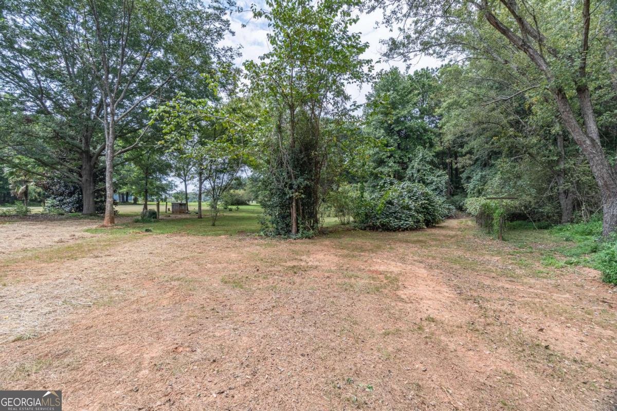 4331 Ellison Farm Road Braselton - 9