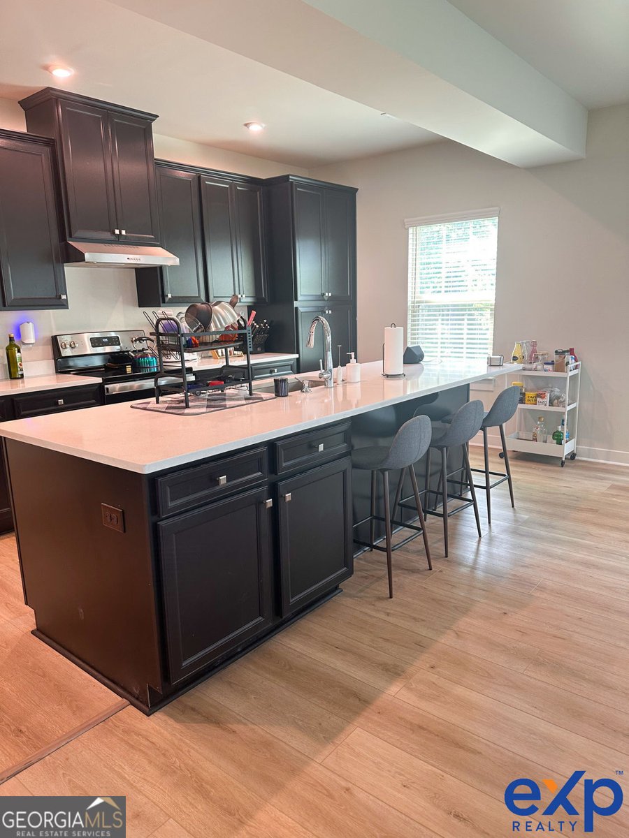 1029 Climbing Rose Way McDonough - 13