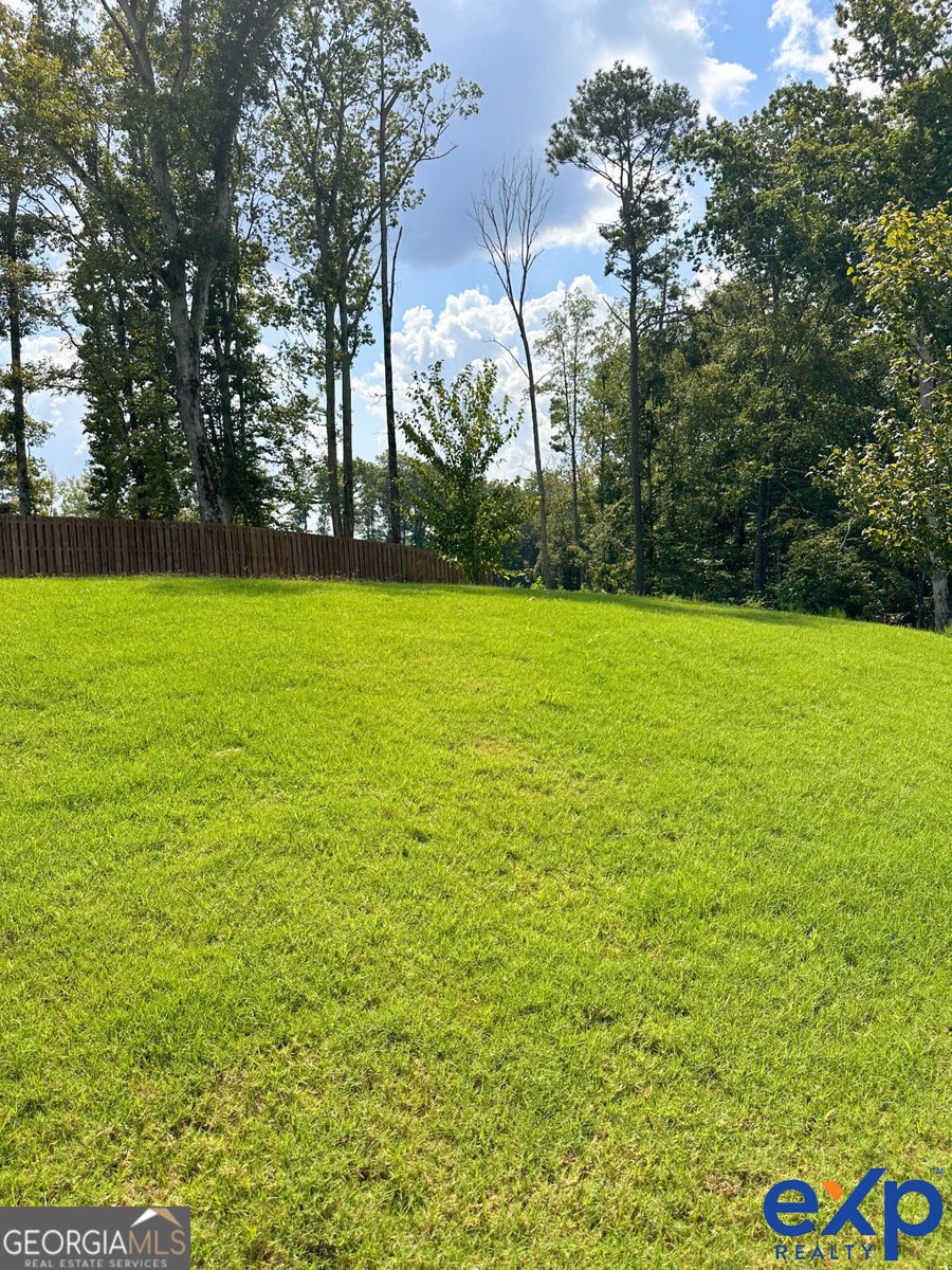 1029 Climbing Rose Way McDonough - 52